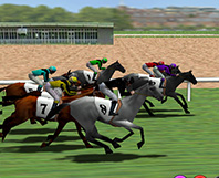 Betting on simulated horse racing is one of the most popular arcade games in online casinos