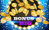 The lettering “Big Bonus" and falling coins.